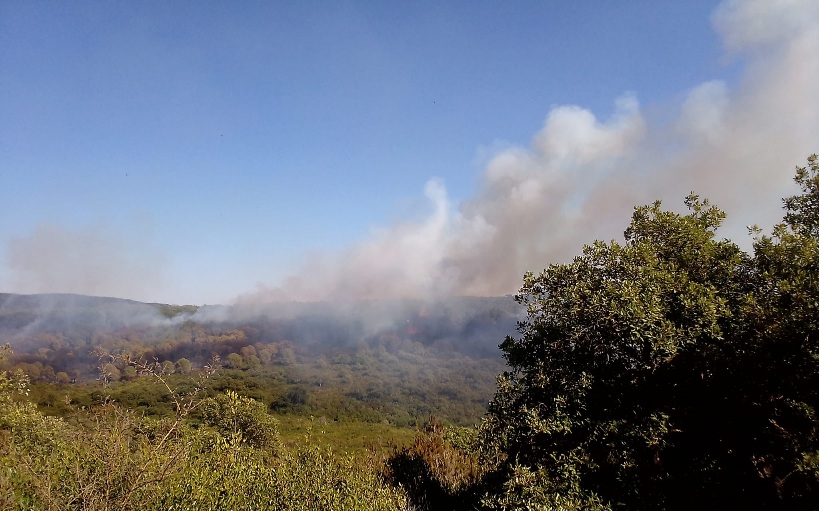 السيطرة على حريق جبل بوبقعة سجنان